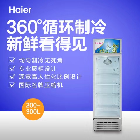 海尔冷柜SC-300JA